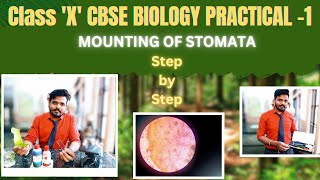 Class 10 CBSE Science Practical Exploring Stomata Under the Microscope [upl. by Tsuda]