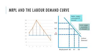 25 Marginal Productivity Theory REC [upl. by Julienne]