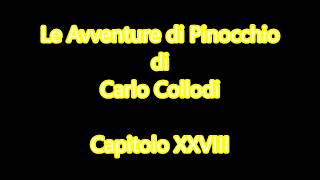 Audiolibro C Collodi Le Avventure di Pinocchio  Capitolo XXVIII [upl. by Alue]