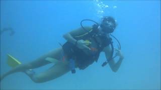 9 de octubre de 2016 buceo en baru y bajos de salmedina con buzos de baru cartagena colombia [upl. by Turner]