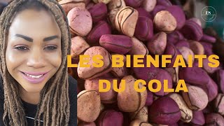 Les bienfaits de la noix cola et son pouvoir spirituelnaturesantespiritualitecolaconseils [upl. by Horan110]