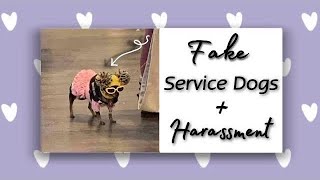 SERVICE DOG HARASSMENT COMPILATION [upl. by Tamsky552]