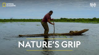 Nature’s Grip  Primal Survivor  Full Episode  S1  E2  National Geographic [upl. by Nuahsor]