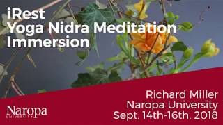 iRest Yoga Nidra Metitation Immersion with Richard Miller [upl. by Aiekat]