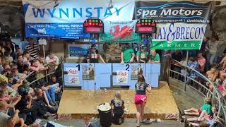 Senior Shearers in The Welsh International Speed Shear 2024 [upl. by Gnal]