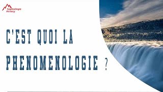 cest quoi la phénoménologie [upl. by Peale]