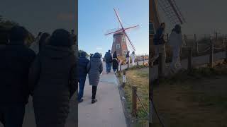 Windmill Geoje island  Korea [upl. by Ahsinnod]