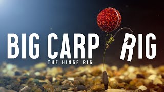 BIG CARP RIG Carp Fishing Rigs Made Easy  Tie THE HINGE RIG PopUp Rig Like A PRO Mainline Baits [upl. by Ainod]