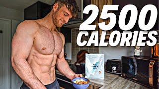 Full Day Of Eating 2500 Calories  Realistic amp Tasty Meals [upl. by Aihtenyc]