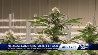 Medical cannabis WJCL 22 gets a tour of Botanical Sciences farm in Glennville [upl. by Wenz]