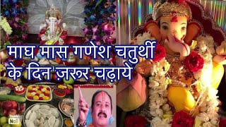 माघ मासमाघी गणेश चतुर्थी व्रत की पूजा विधिmagh mas ganesh chaturthi puja vidhi or mahtva [upl. by Noelc]