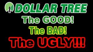 Dollar Trees BEST amp WORST FOODS  Foods to BUY or AVOID  WHAT ARE WE EATING  The Wolfe Pit [upl. by Tamara]