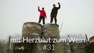 mit Herzblut zum Wein Vlog 31 Natürlich Düngen [upl. by Chil]