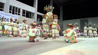 Danza huichol Tepic Nayarit Mexico 2012 Dance [upl. by Annaitat]