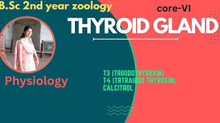 Thyroid Gland B Sc 2nd YearHormones Of Thyroid GlandFunction StructureDisorders thyroid [upl. by Carri780]