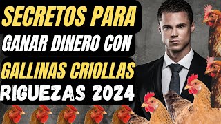 5 secretos para ganar dinero con gallinas criollas ¡Deja de Soñar y Comienza a Ganar Dinero [upl. by Grodin]