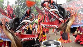 DUEL MAUT 5 BARONGAN  JARANAN  KUDA KEPANG [upl. by Celinda]