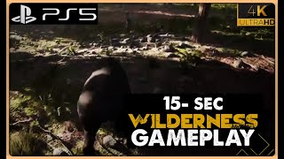 Wilderness Gameplay Part 9 [upl. by Femi]