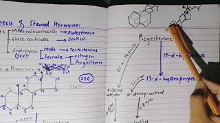 Synthesis of steroid hormone part 2 [upl. by Queen]