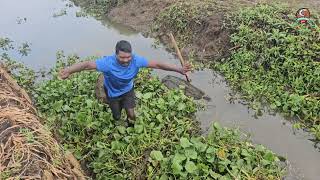 എന്റെ നാടുപോലെ ഒരിടമുണ്ടെങ്കിൽ കുടുംബബഡ്ജറ്റ് ഇങ്ങനെ നിയന്ത്രിയ്ക്കാം [upl. by Cleary]