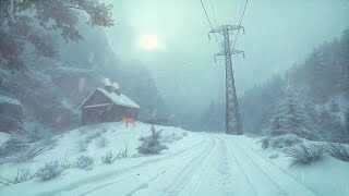 ❄ Breathe Easy with Snowstorm Sound Therapy ❄ Loud Blizzard Sounds for Quick Calm and Restful Sleep [upl. by Threlkeld]