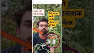 भंग से करें कीट नियंत्रण agriculture farming organicfarmingshortsviral [upl. by Acimahs]