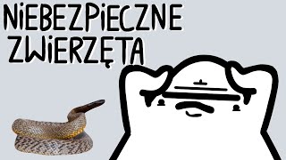 NIEBEZPIECZNE ZWIERZĘTA [upl. by Saihtam869]