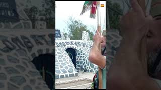 Los Legionarios Cantan con Orgullo el Novio de la Muerte [upl. by Eldreda]