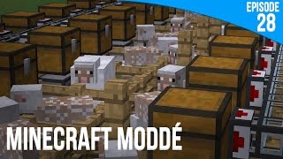 Elevage intensif de moutons   Minecraft Moddé S3  Episode 28 [upl. by Cart]