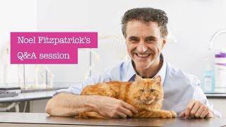 Petplan and Supervet Noel Fitzpatrick QampA [upl. by Gipps828]