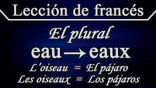 Aprender francés  Lección 11  El plural de los sustantivos [upl. by Chaney]