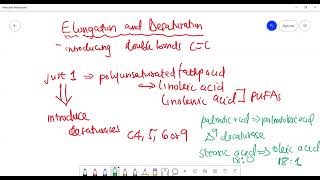 Fatty Acid Biosynthesis 34  Desaturation amp Elongation [upl. by Libbey]