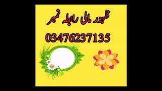 Awam ki purzoar farmaish par Zahoor Mali part 2 Zahoor mali shayari [upl. by Noryt845]