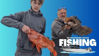 CatchCleanCook  Lingcod amp Giant Vermilion  Neah Bay  Almost Eaten By A Giant Sea Lion [upl. by Nnylyar]