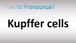 How to Pronounce Kupffer cells [upl. by Aveer]