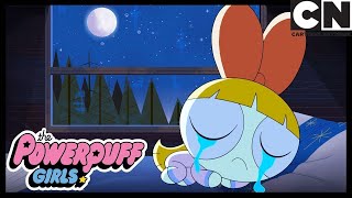 LONELY BLOSSOM  Powerpuff Girls Cartoon Network [upl. by Aliekahs]