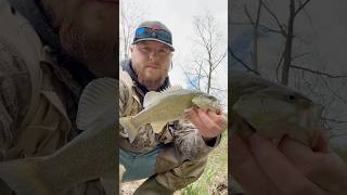 October Creek Fishing fishing fishingvideo outdoors creek bassfishing youtubeshorts shorts [upl. by Nosaj]