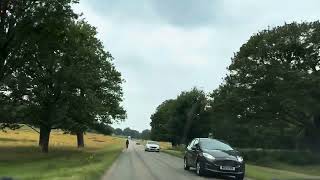 Drive through Richmond Park London richmond park london drive [upl. by Iaoh628]