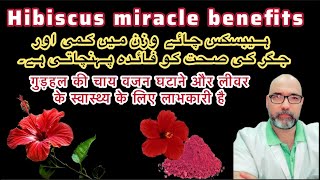 Hibiscus tea or supplements magical health benefits  Urdu hindi [upl. by Aicilec398]