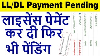 driving licence payment pending  lldl payment pending solution 2024 [upl. by Winthorpe527]