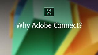 Why Adobe Connect [upl. by Dnaleel]