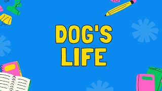 🐕Dogs Life Breeds Care Communication and Fun [upl. by Stout]