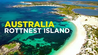 ROTTNEST ISLAND is the QUOKKA worlds CUTEST animal Day trip from Perth [upl. by Eyks]