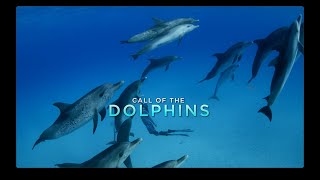 Call of the Dolphins – Trailer [upl. by Yelyr580]