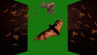 Green Screen horror effects  scary background video  creepy animation  bats  door chroma key [upl. by Devon]