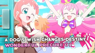 WONDERFUL PRECURE Episode 01 Impressions [upl. by Yenruogis]