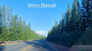 Drive from Haleiwa Town to Pearlridge Shopping Center in Aiea Hawaii [upl. by Gall]