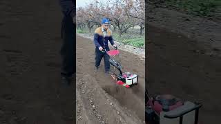 Gasoline weeder Small tiller Ditching and soilraising machine [upl. by Nothgiel]