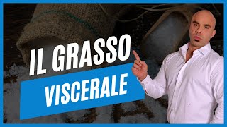 Cos’è il grasso viscerale [upl. by Ynaffat]