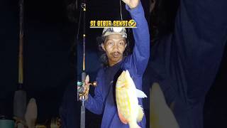 STRIKE SI BIBIR SEKSI fishing kakapfishing kakap mancingmania mancingkakapmerah videoshort [upl. by Molloy]